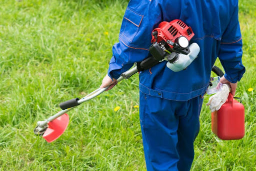 Why Your Weed Eater Is Vibrating So Much