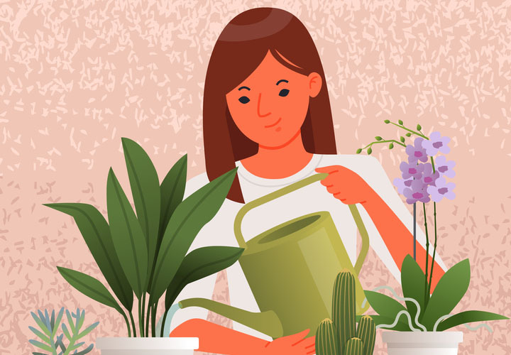 Quick Guide to Caring for House Plants