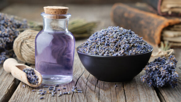 Dry,Lavender,Flowers,In,Bowl,And,Bottle,Of,Essential,Lavender