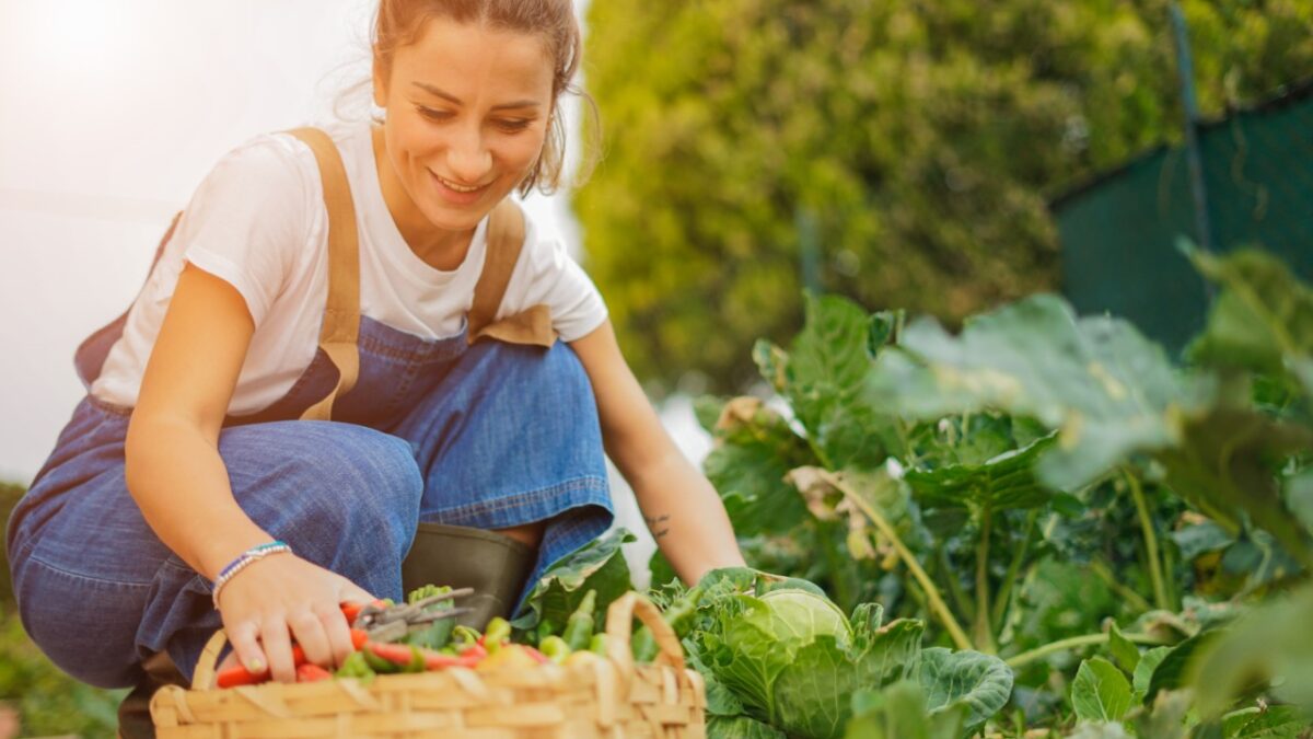6 Gardening Tips for a Healthier Garden