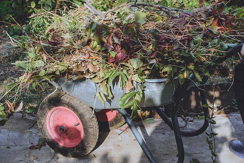 Getting Your Garden Ready for Winter