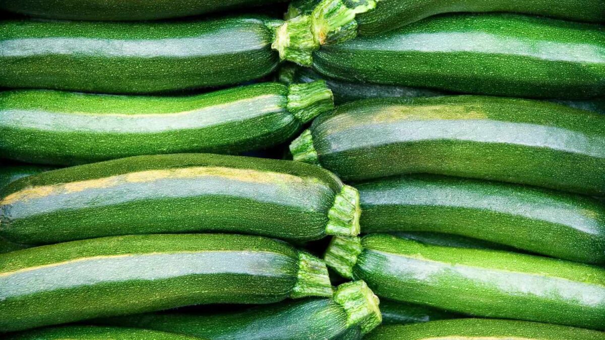 Zucchini: A Vegetable with a Bad Reputation