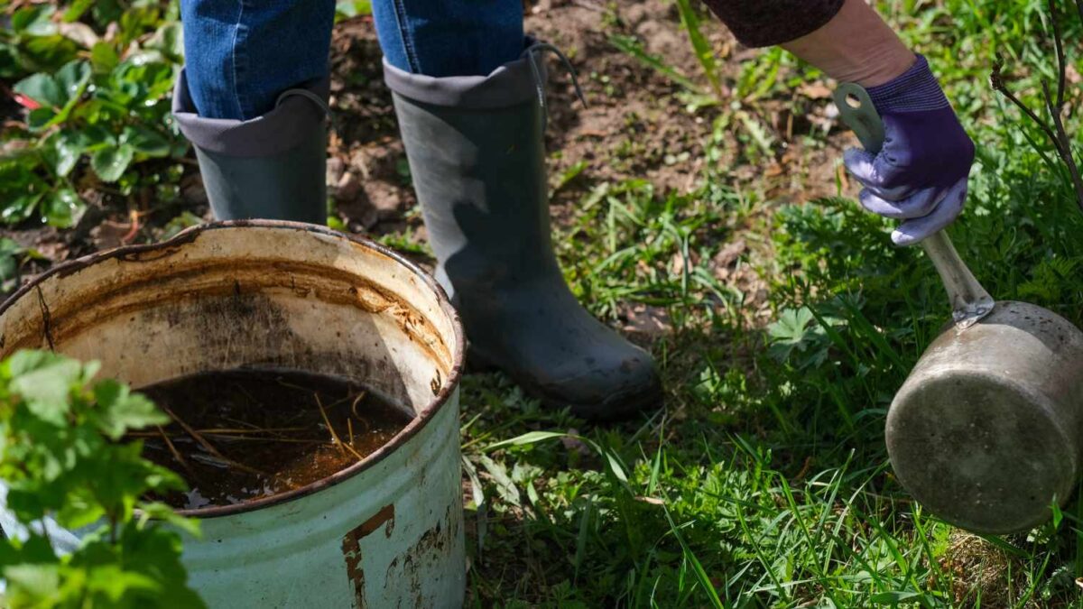 How to Make Compost Tea: The Ultimate Guide for Beginners