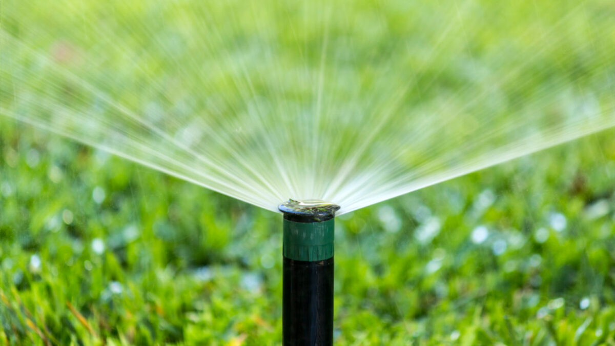 How to Spot a Damaged Irrigation System Before It’s Too Late